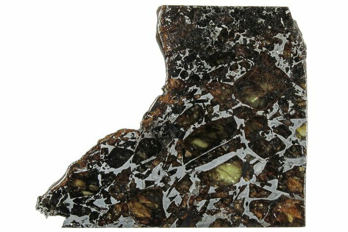 Polished Admire Pallasite Meteorite ( g) Slice - Kansas #307335